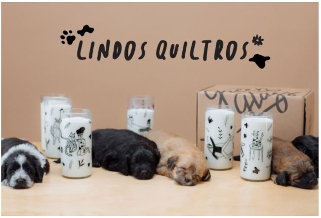 Lindos Quiltros - Juego de 6 Vasos